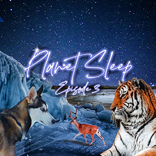 4: A Starry Night Over Siberia Podcast Por  arte de portada