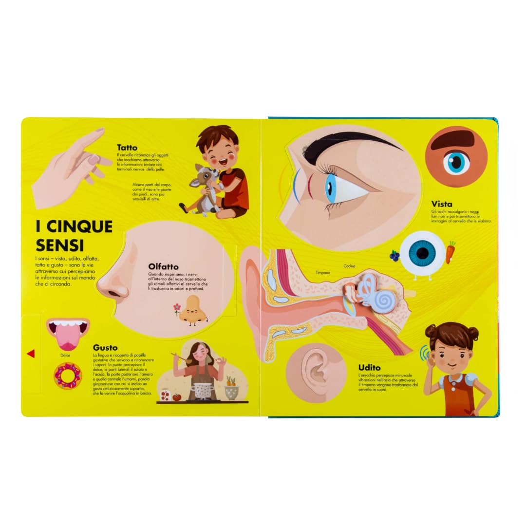 Corpo umano. Il libro dei flip-flap. Ediz. a colori