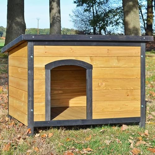 Photo complémentaire