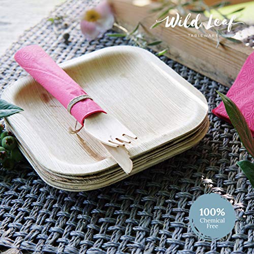 Disposable Palm Leaf Plates 6 Inch / 25 Pack. All Natural Compostable, Biodegradable And Eco Friendly Dessert Party Plates - Comparable To Bamboo Or Wood - Great For Outdoor Parties, Weddings And Bbqs #TOP3