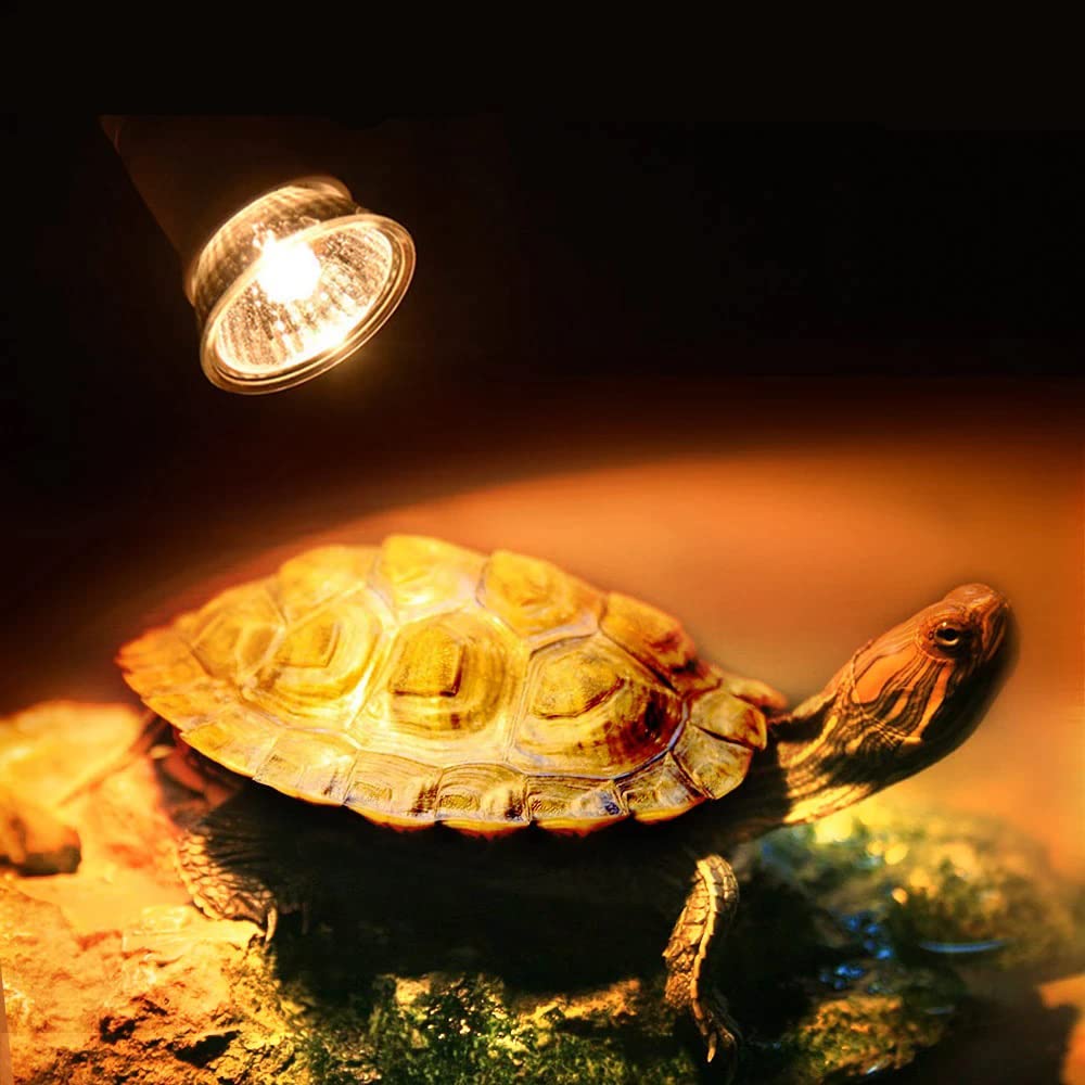 Western Era UVB Lamp Heat and Light for Reptiles and Amphibian Tanks, Terrariums and Cages, Works with Various Lamp Fixtures (50W) 4
