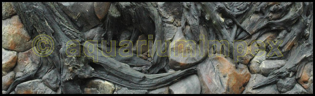 3D Rückwand 200x60 Aquariumrückwand Amazonas