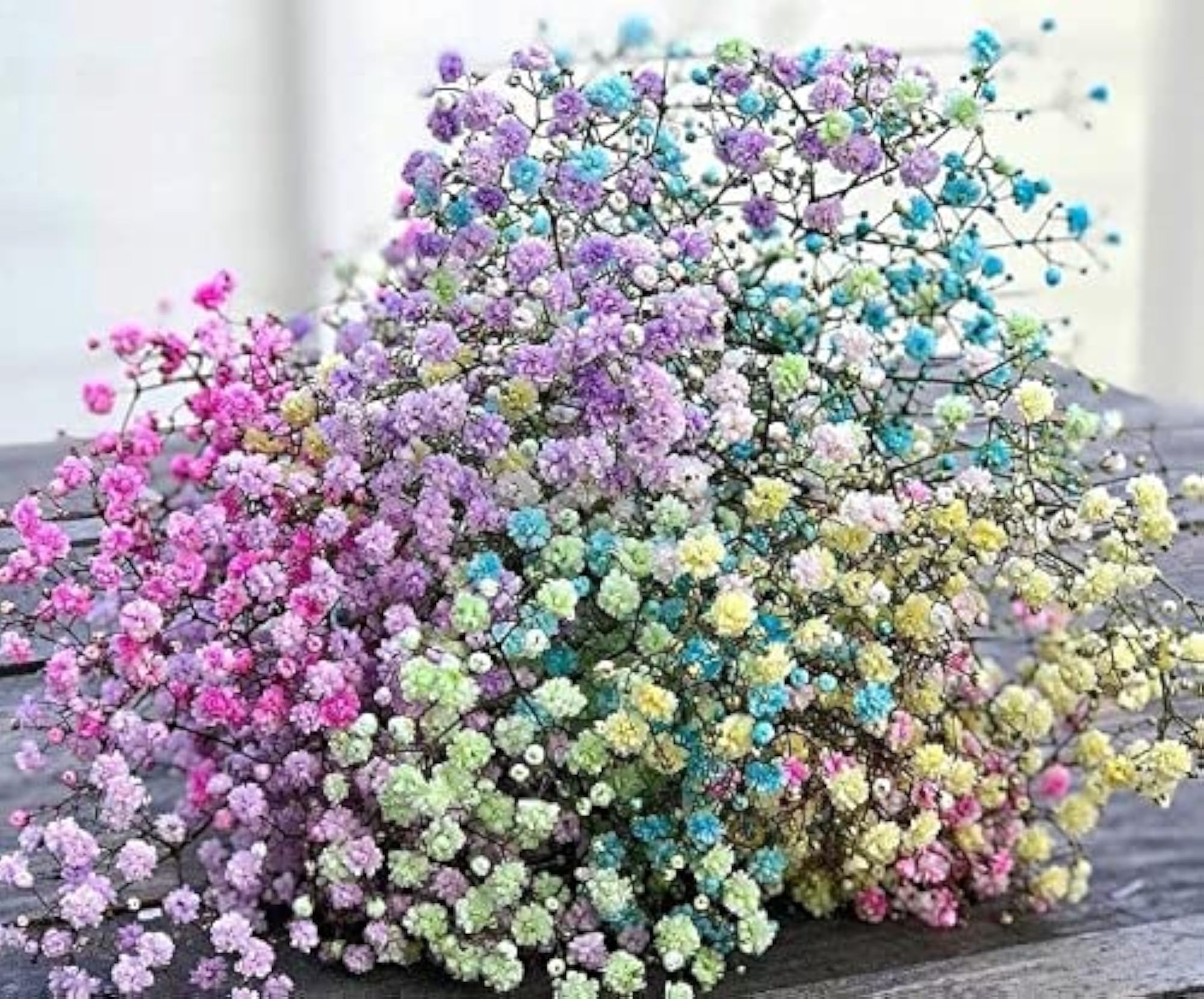 Natural Real Dried Flowers for Art Craft