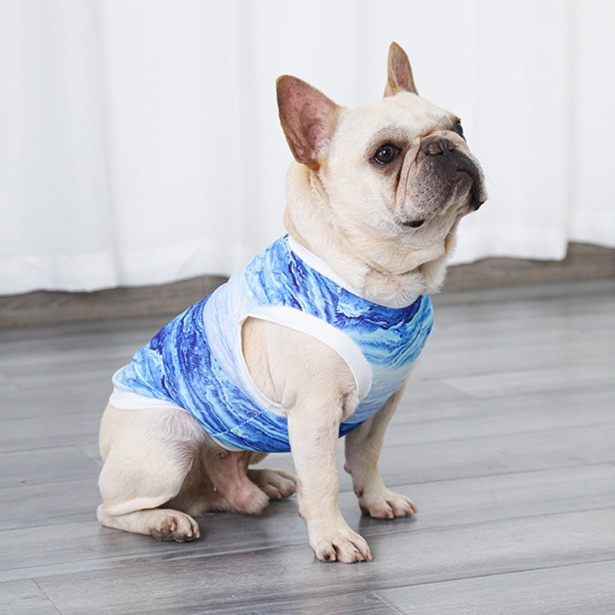 Abaodam Kühlweste für Kleine Hunde Größe S Atmungsaktiv Wasseraktivierte Kühlung Hundeweste Himmelblau für Sommer