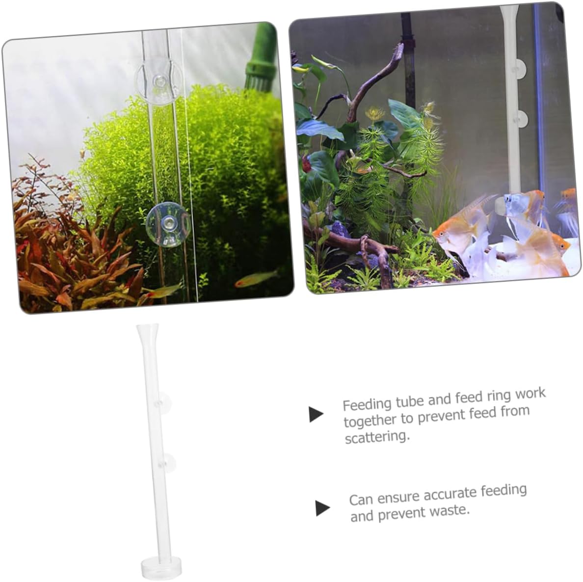 PRETYZOOM 2sets Shrimp Feeder Tray Fish Tank for Easy Observation Cup Installation for Aquarium Shrimp and Fish Food Dispensing