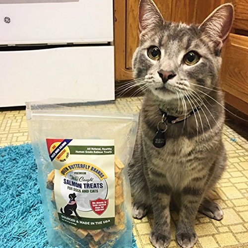 Green Butterfly Brands Salmon Dog Treats – Made In Usa Only – 1 Ingredient: Wild Caught American Salmon – Freeze Dried Raw, Human Grade – No Additives Or Preservatives - Grain Free Cat Snack, 5 Ounces #TOP4
