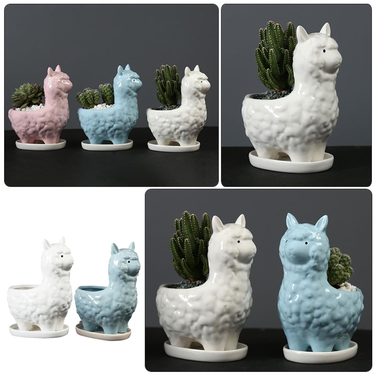 2kawałki Ceramiczny Kwiatowy Doniczek z Alpaka Uroczy Do Sukulentów Bonsai Dekoracja Biurka Idealny Do Domu i Ogrodu
