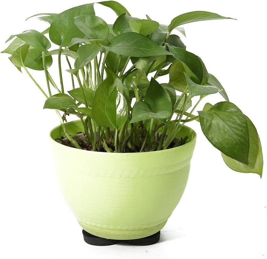Set Di 24 Piedini Invisibili Per Vasi Di Fiori E Piante In Gomma Solida Con Superficie Antiscivolo Migliorata 98983688