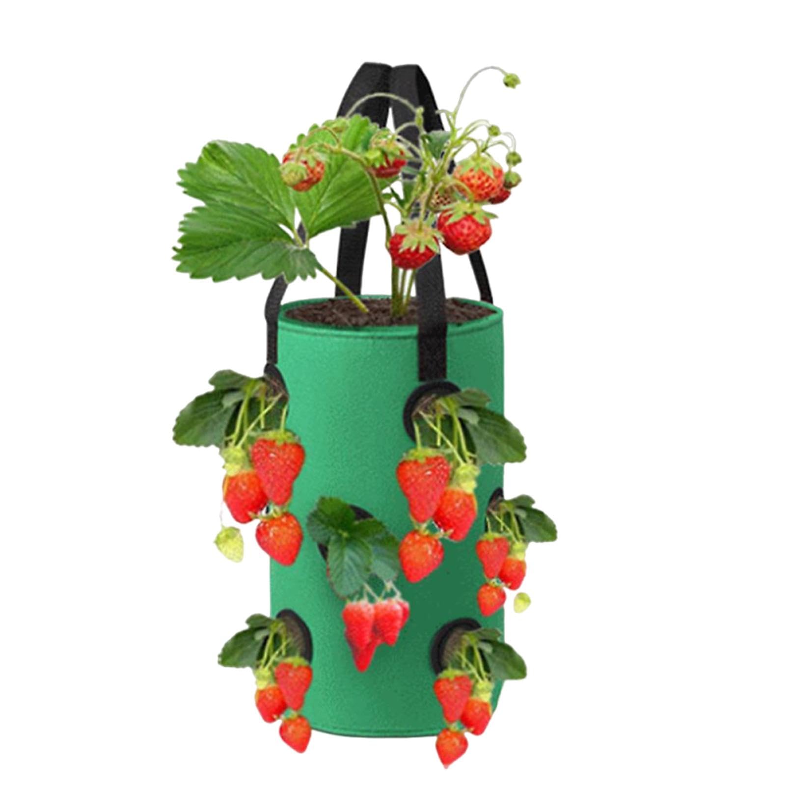 2x Jardinière de Jardin Verticale Pots de Plantation de Fraises Intérieur Extérieur 2x Jardinière de Jardin Verticale Pots de Plantation de Fraises Intérieur Extérieur