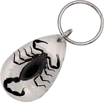Amazon.co.jp: USA ARIZONA SCORPION DROP KEYCHAIN 蠍 サソリ