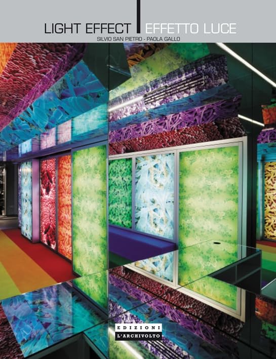 Light Effect (Zoom)      Hardcover – January 1, 2009