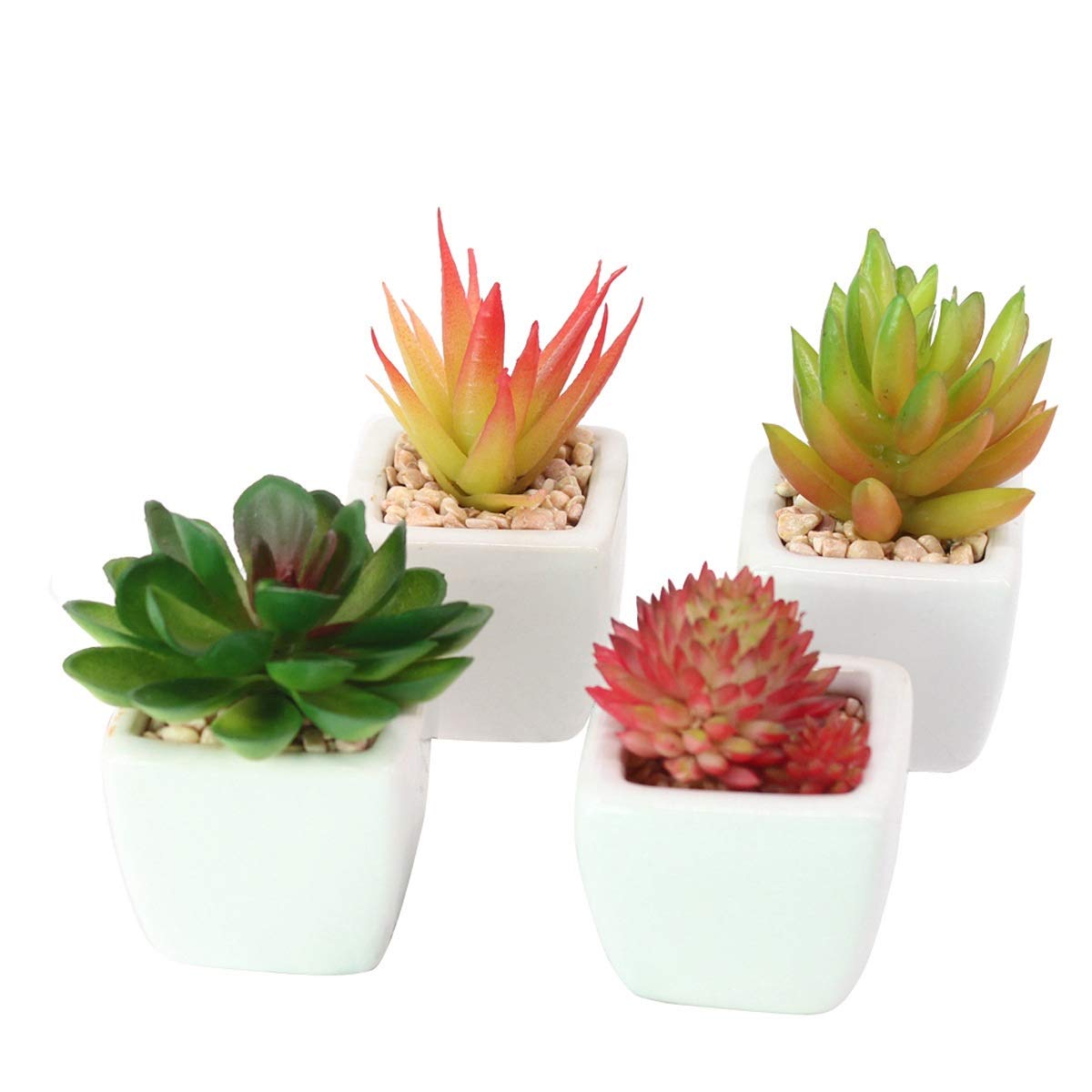 Emsa m5261900 Click & Grow Smart Garden 3 Jardín de Interior ...