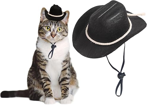 Dog Cowboy Hat Cat Cowboy Hat Pet Cowboy Costume Mini Cowboy Hat for Dogs Cat Holiday Halloween Pet Party Decoration Black-style3, Small