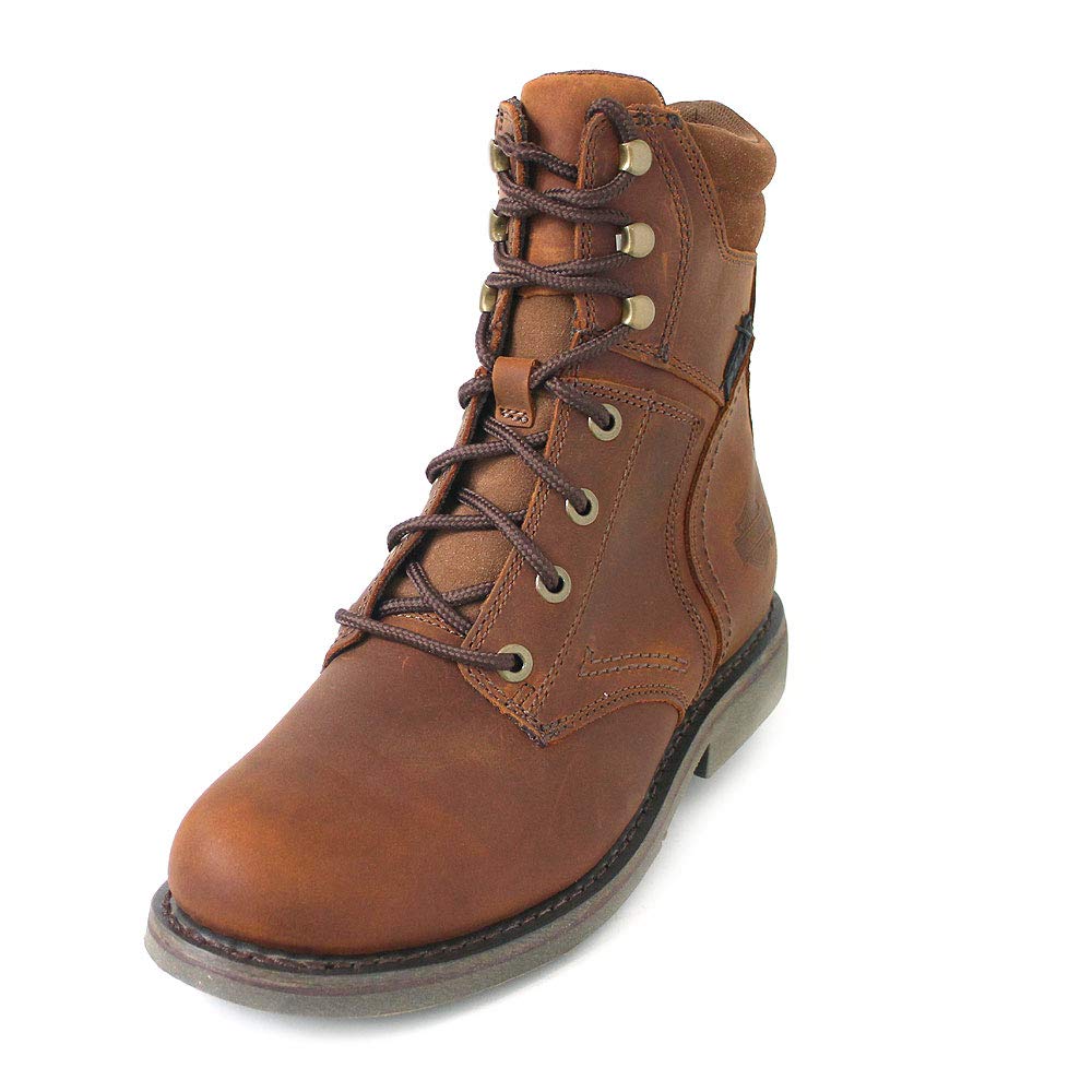 darnel harley davidson