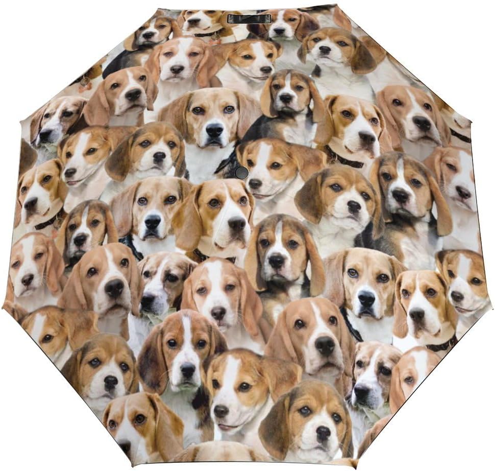 Funny Beagle Dog Face Print Umbrella, Folding Umbrella for Rain Sun Travel, Lightweight Compact Umbrellas for Beagle Dog Mom Pets Owner, Beagle Dog Lover Gifts