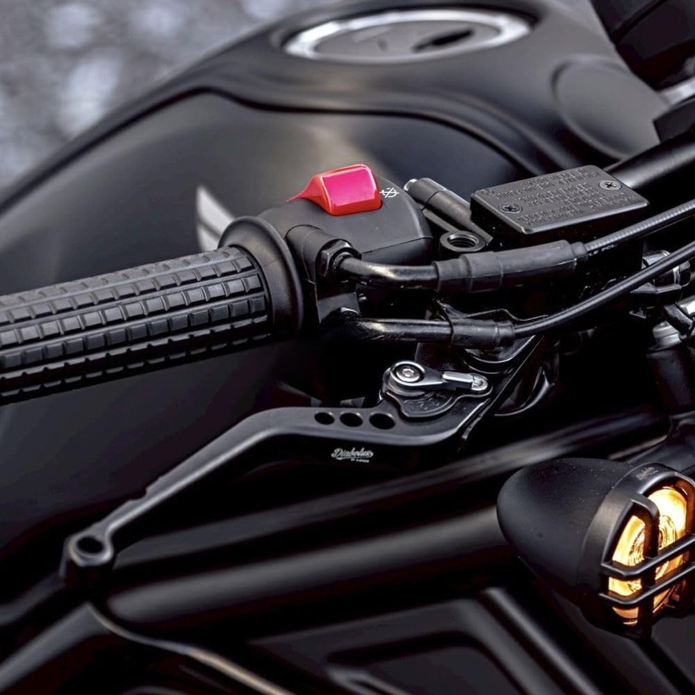 Amazon.co.jp: Diabolus by K-SPEED ホンダレブル250/2025年(E