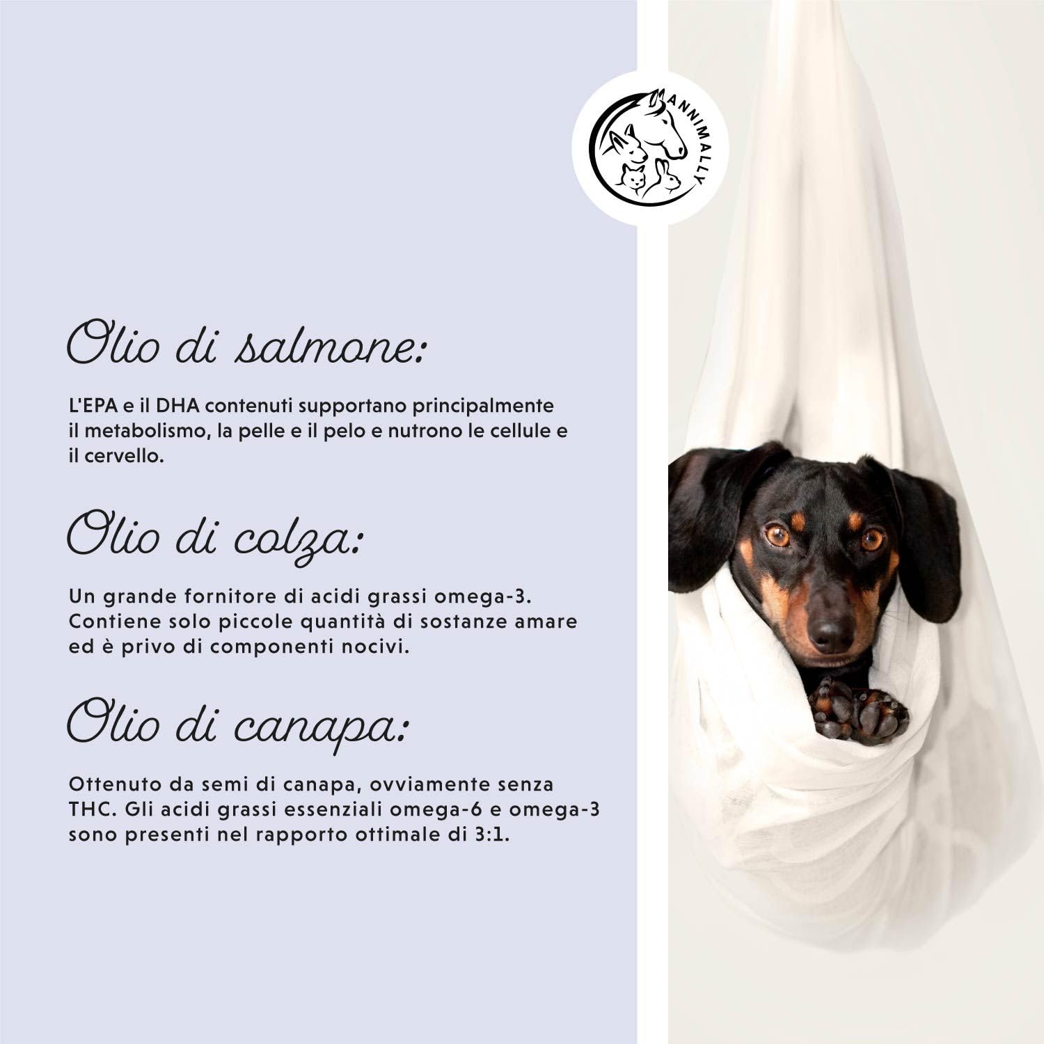 Olio BARF per cani 1000 ml Olio Barf con Omega 3-6-9 composto da: olio di salmone, olio di colza, olio di canapa e olio di borragine - olio alimentare per cani da utilizzare come condimento