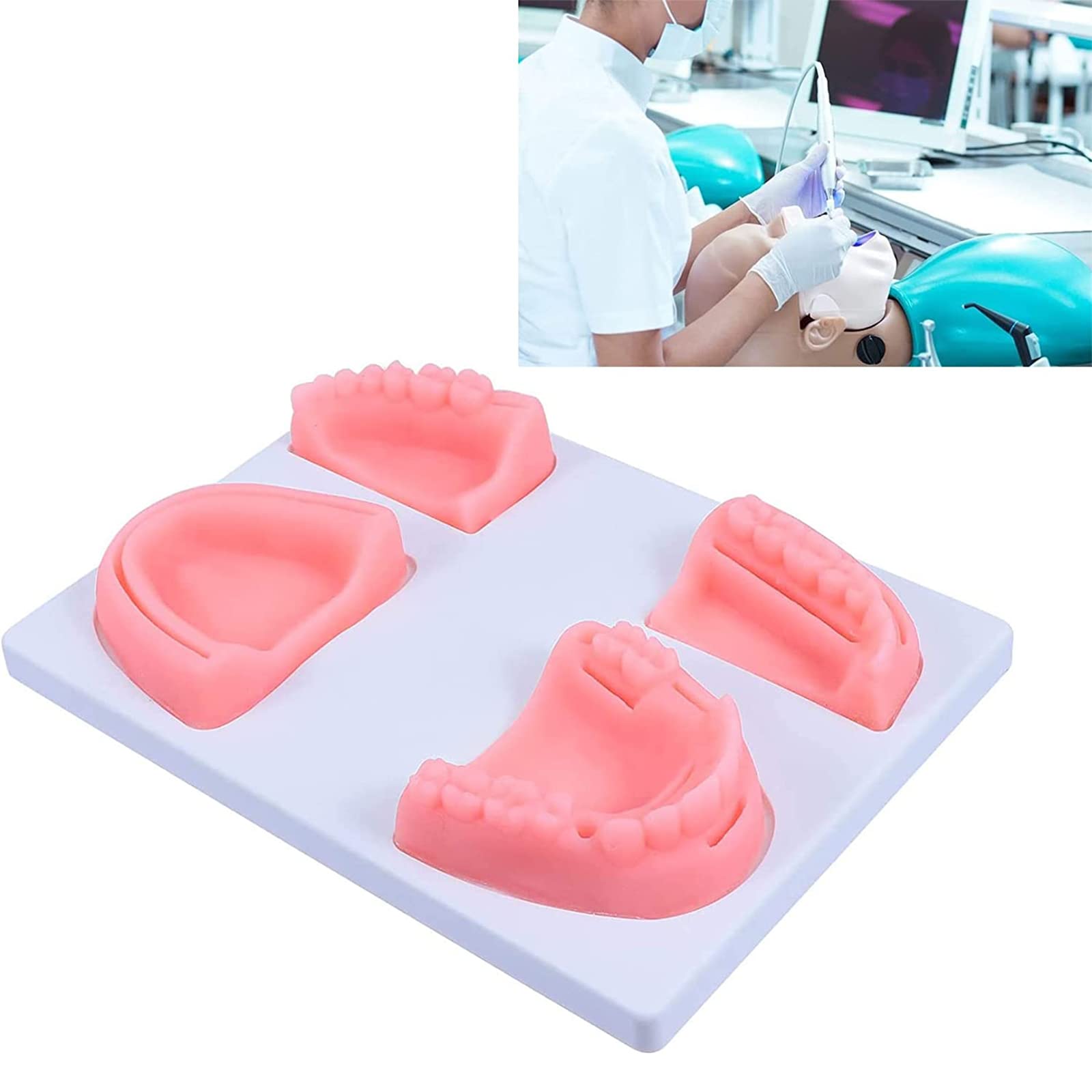 Buy Oral Suture Training Model, Dental Suture Pads Wound Kit, Tooth and
