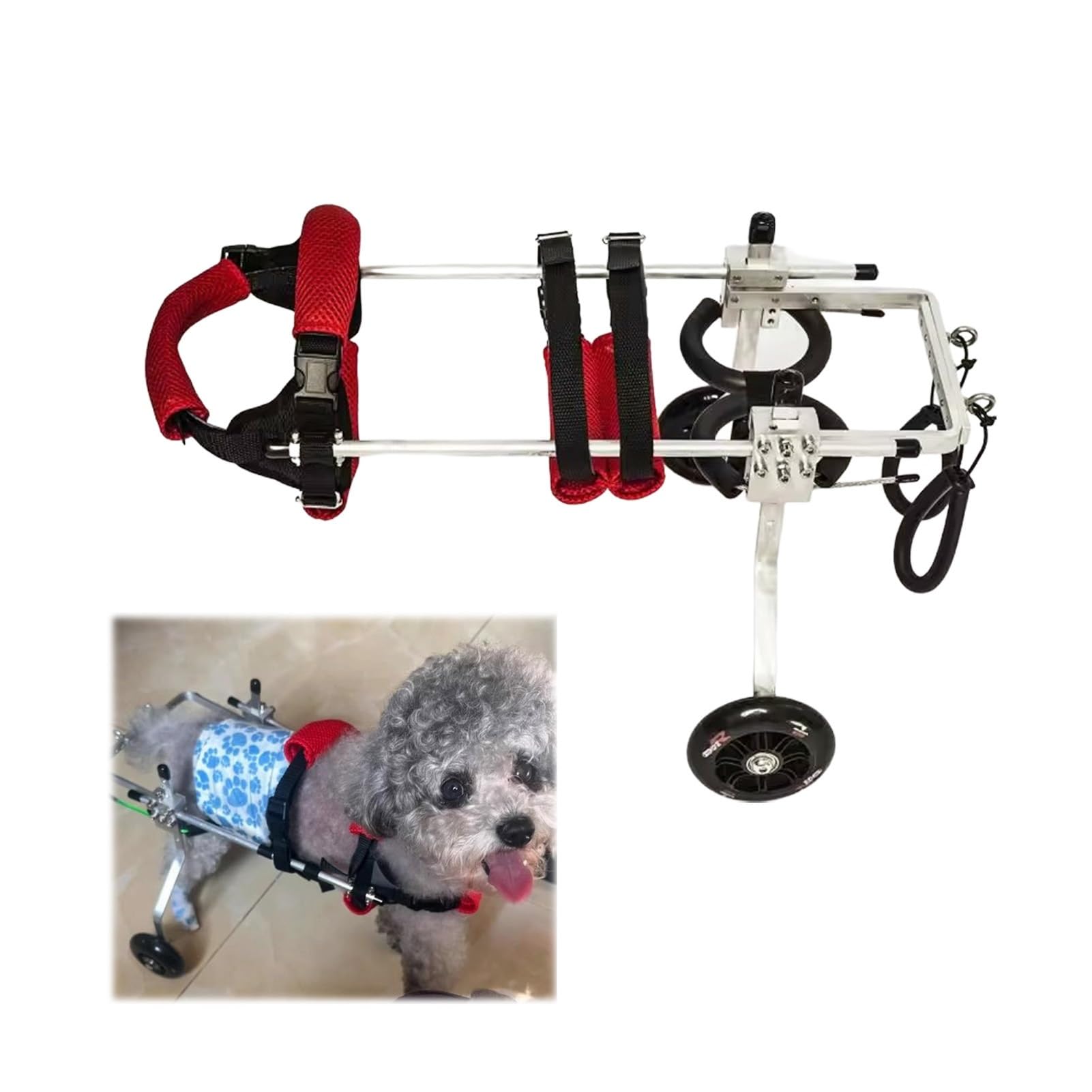 Chariot de marche pour chien blessé : aide à la mobilité