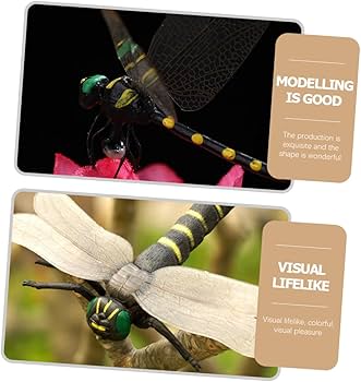 ドンフライ様 リクエスト 2点 まとめ商品 アリエク入門②】Aliexpress で商品を購入する方法【そして深淵