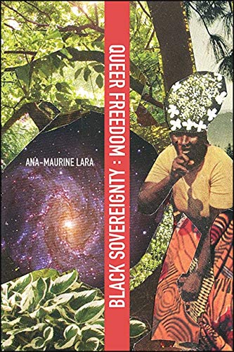 Queer Freedom : Black Sovereignty (SUNY series, Afro-Latinx Futures)