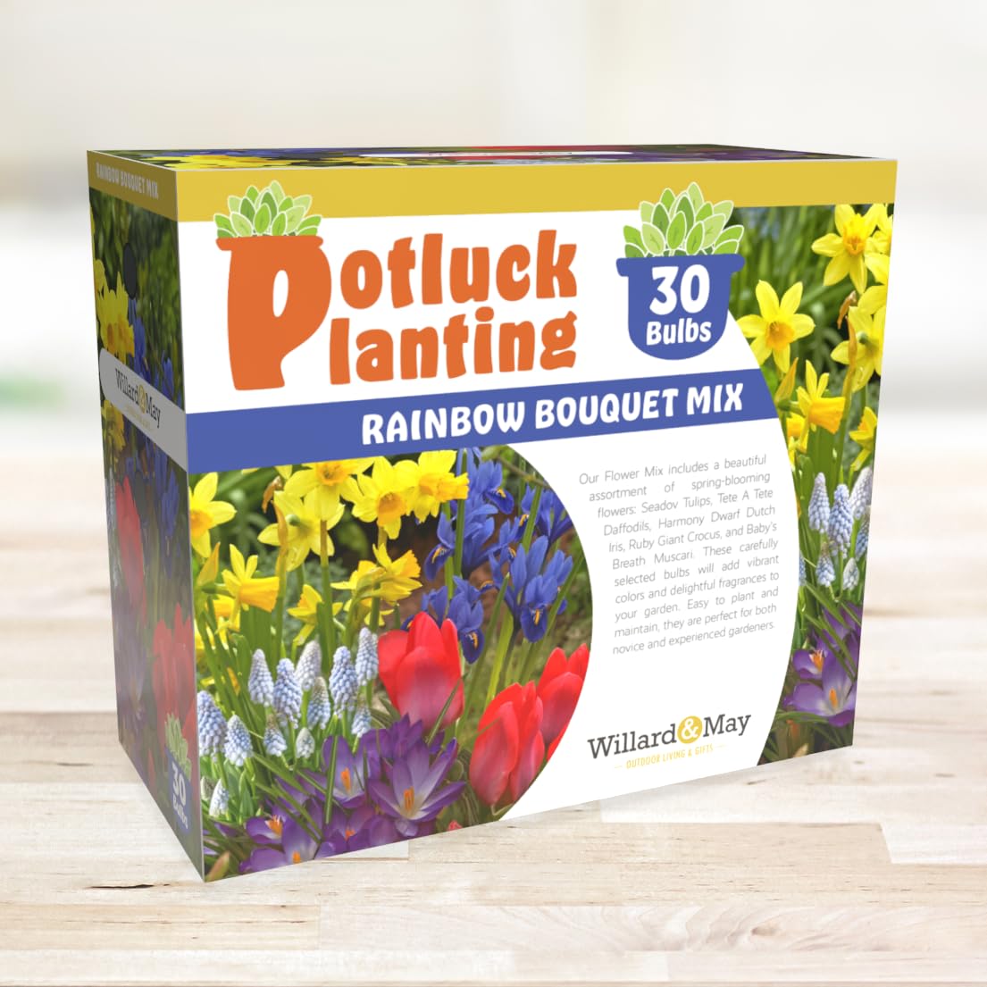 Potluck Planting Rainbow Bouquet Mix - 30 Flower Bulbs per Box - All-in-One Kit - Tulip, Daffodil, Iris, Crocus, Muscari - Fragrant - Naturalizing - Live Outdoor Garden - Easy to Plant Flowers