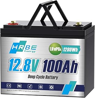 100Ah LiFePO4 Battery 12.8V Lithium Battery Built-in 100A BMS, Rechargeable Lithium Iron Phosphate Battery, 8000+ Deep Cycles 1280Wh Battery Waterproof for RV, Solar, Boat, Marine, Trolling Motor