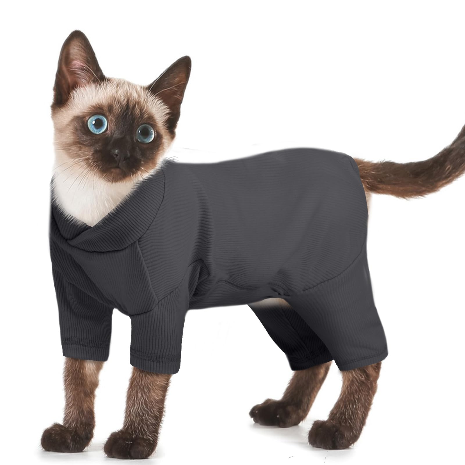 Vêtements pour Chat, Pull à Manches Longues Manteau d'hiver Chat Boby Recuperation Anti-Lécher(Gris Foncé, M)