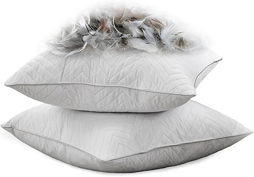 Miniatura 1 de WOLKI Juego de 2 almohadas decorativas de plumón, para sofá, cama y sofá (22 x 22 pulgadas)