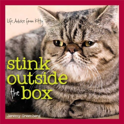 Stink Outside the Box: Life Advice from Kitty Hardcover – September 2, 2014