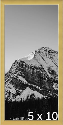 Frame It Easy Marco de metal dorado brillante de 5 x 10 (Ashford)