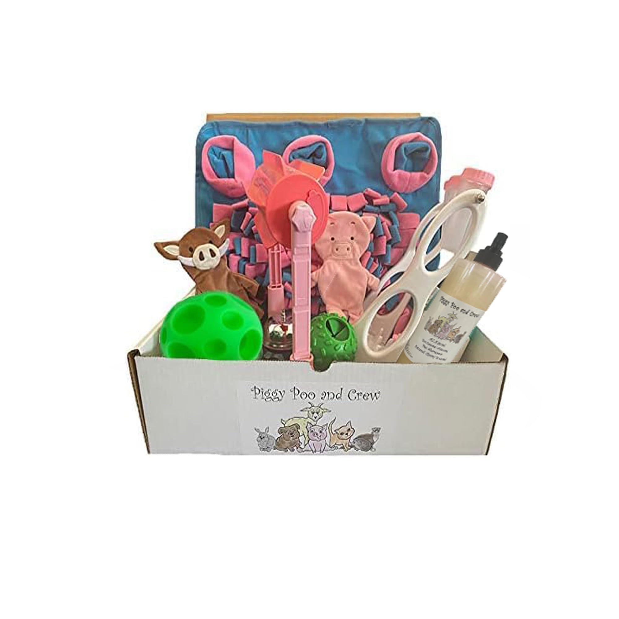 AZ Micro Mini Pig Box New Pet Owner - Starer Box of Supplies - Includes A Snuffle Mat