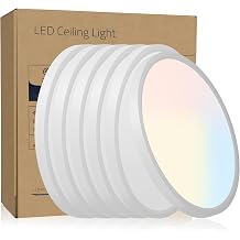 Lorpies 11.8 inch 24-Watt Modern White LED Flush Mount