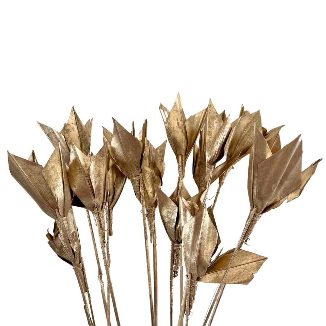 Palm Lily Dried Sticks | Set of 10 Sticks for Rustic Home & Office Decor & Festive Styling | Handcrafted, Lightweight & Long-Lasting | Perfect for Backdrops, Table Runners & DIY Crafts-image-16