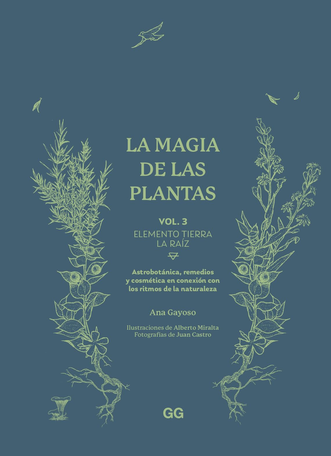 La magia de las plantas: Vol. 3. Elemento Tierra. La raíz
