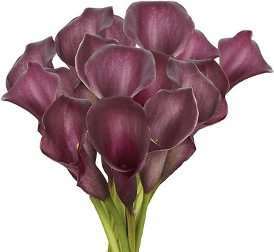GlobalRose 10 Purple Mini Calla Lily Responsibly Sourced Lilies Flowers Hand-Picked Flowers Fresh Bouquet for Graduation, Anniversary, Birthday & Special Occasions