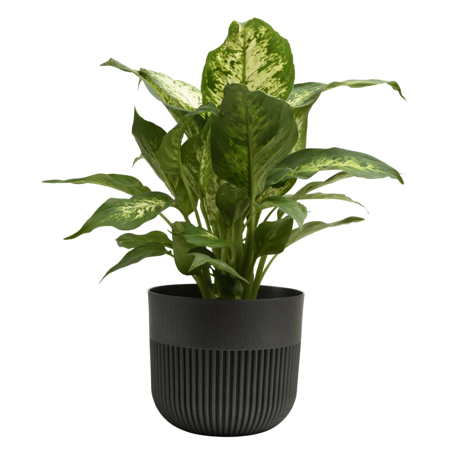B2C Matt Ribbed Flower Pot – Modern Plastic Planter for Indoor & Outdoor Plants, Herbs & Succulents – Lightweight, Durable, Easy-Clean Design – Multiple Sizes & Colours (Graphite, 15cm)