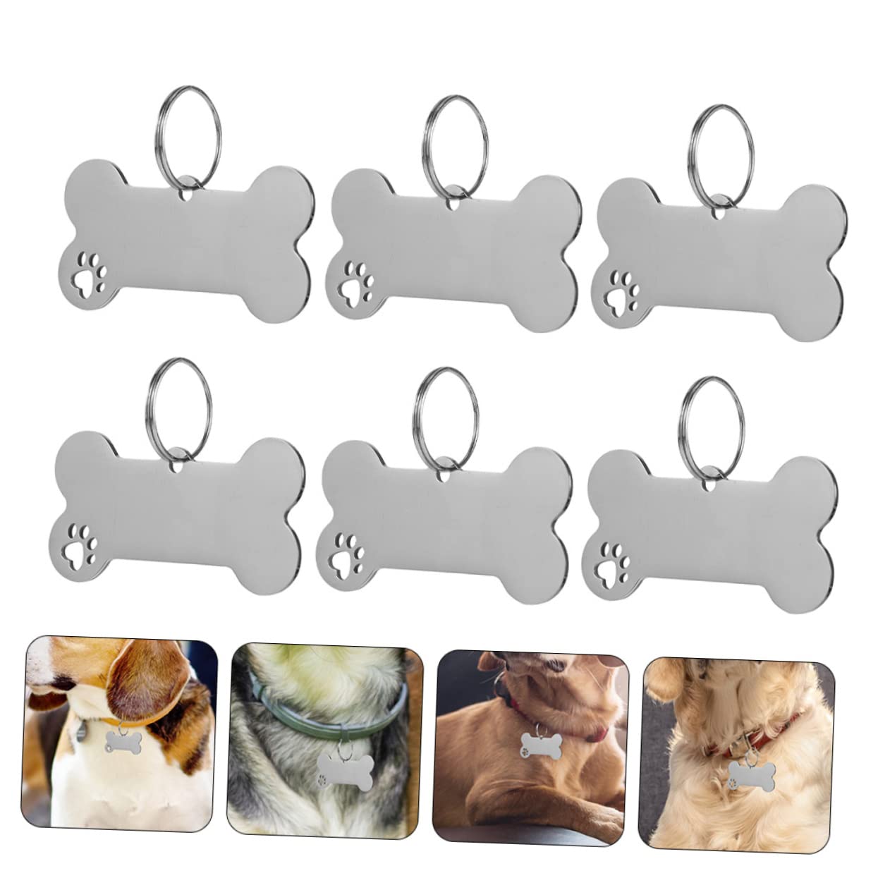 BESPORTBLE 30pezzi Medaglietta Per Personalizzabile Inossidabile Ciondolo Per Collare Incisione Per Accessorio Per Domestici Design e