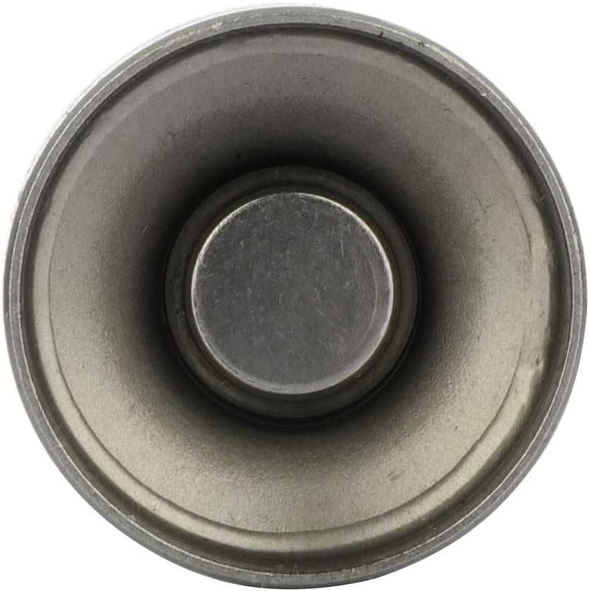 ECCPP Engine Hydraulic Lifter Fit for 2004 2005 2006 2007 2008 for Chevy Aveo 2007-2008 for Chevy Aveo5 1999 2000 2001 2002 for Daewoo Lanos Set of 16