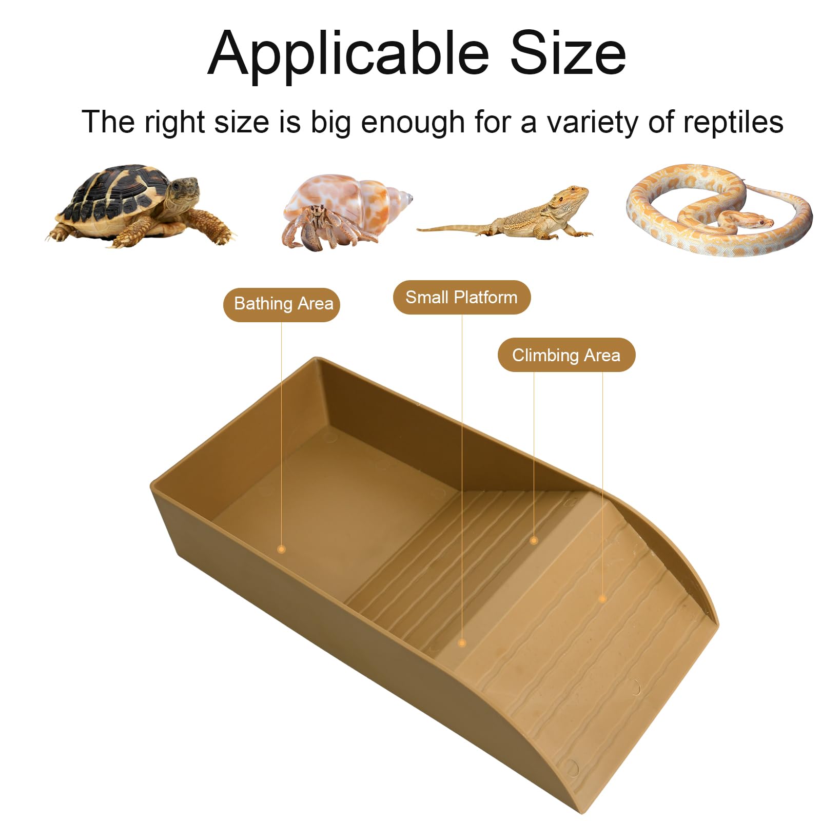 Bassin de Bain Tortue avec Bol Mangue - Accessoire Terrestre, Mangeoire Terrarium