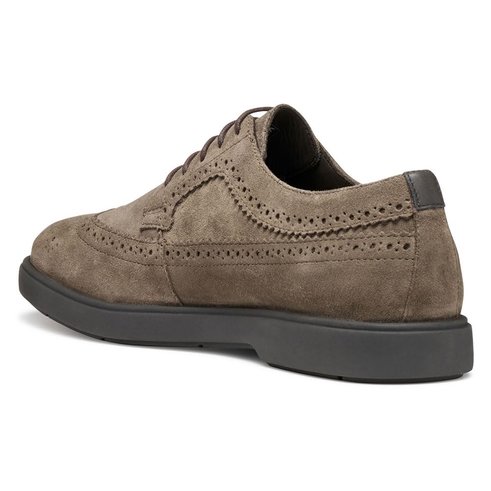 Geox Herren U Spherica Ec17Oxford
