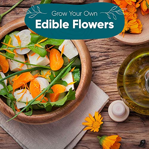 100-Edible-Flower-Seeds-for-Planting-Certified-Organic-Seeds-9-Flower-Garden-Non-GMO-Plant-Seed-Packets-Plant-Markers-Lavender-Echinacea-Calendula-Borage-Wildflower-Chamomile-Thai-Basil 100-Edible-Flower-Seeds-for-Planting-Certified-Organic-Seeds-9-Flower-Garden-Non-GMO-Plant-Seed-Packets-Plant-Markers-Lavender-Echinacea-Calendula-Borage-Wildflower-Chamomile-Thai-Basil