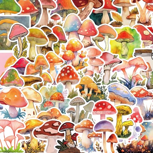 50  ̂ J[gD[ XebJ[ h M^[ m[g  fR[V R n