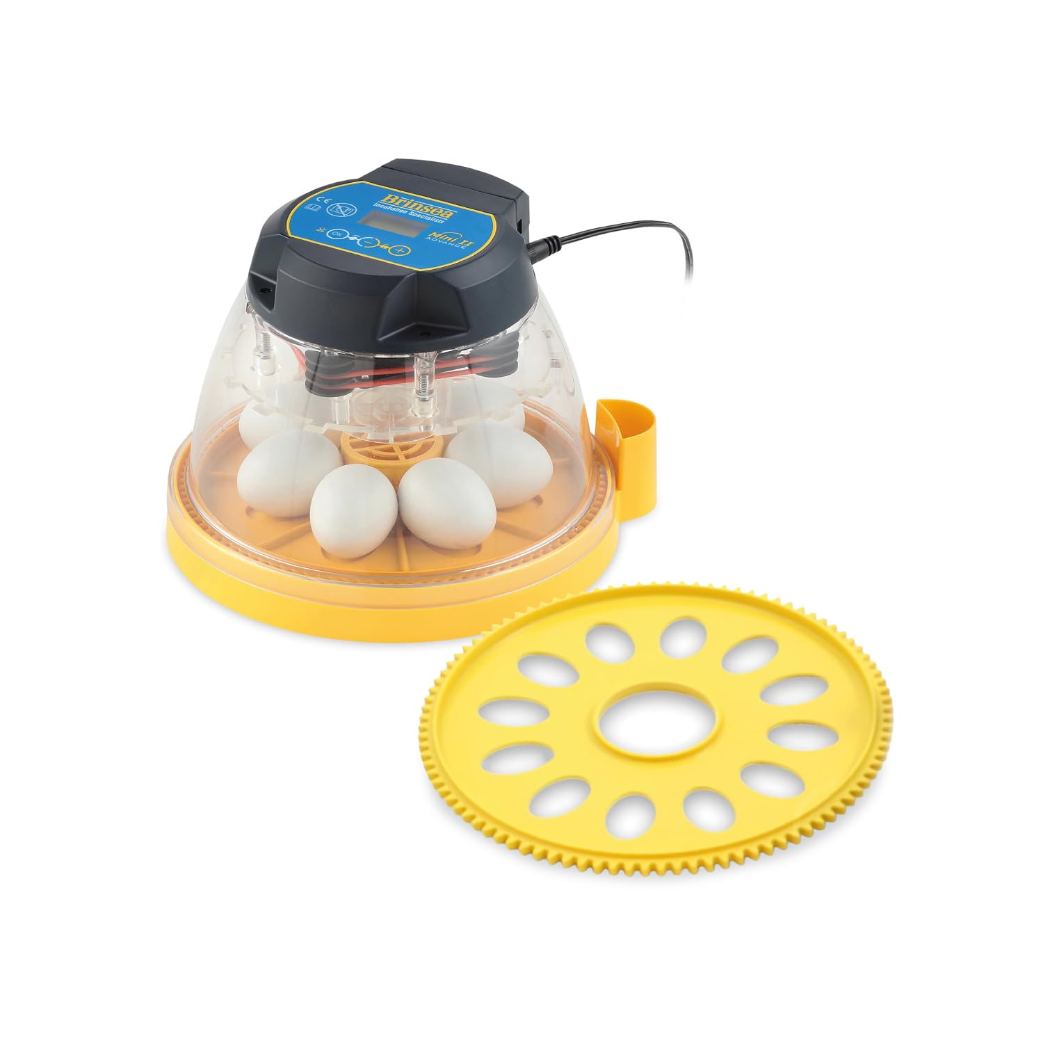 Brinsea Mini II Advance & Insert, incubatrice per uova con rotazione automatica delle uova e controllo della temperatura per cova 7 uova o fino a 12 con inserto, incubatore ideale per hobbisti e altro