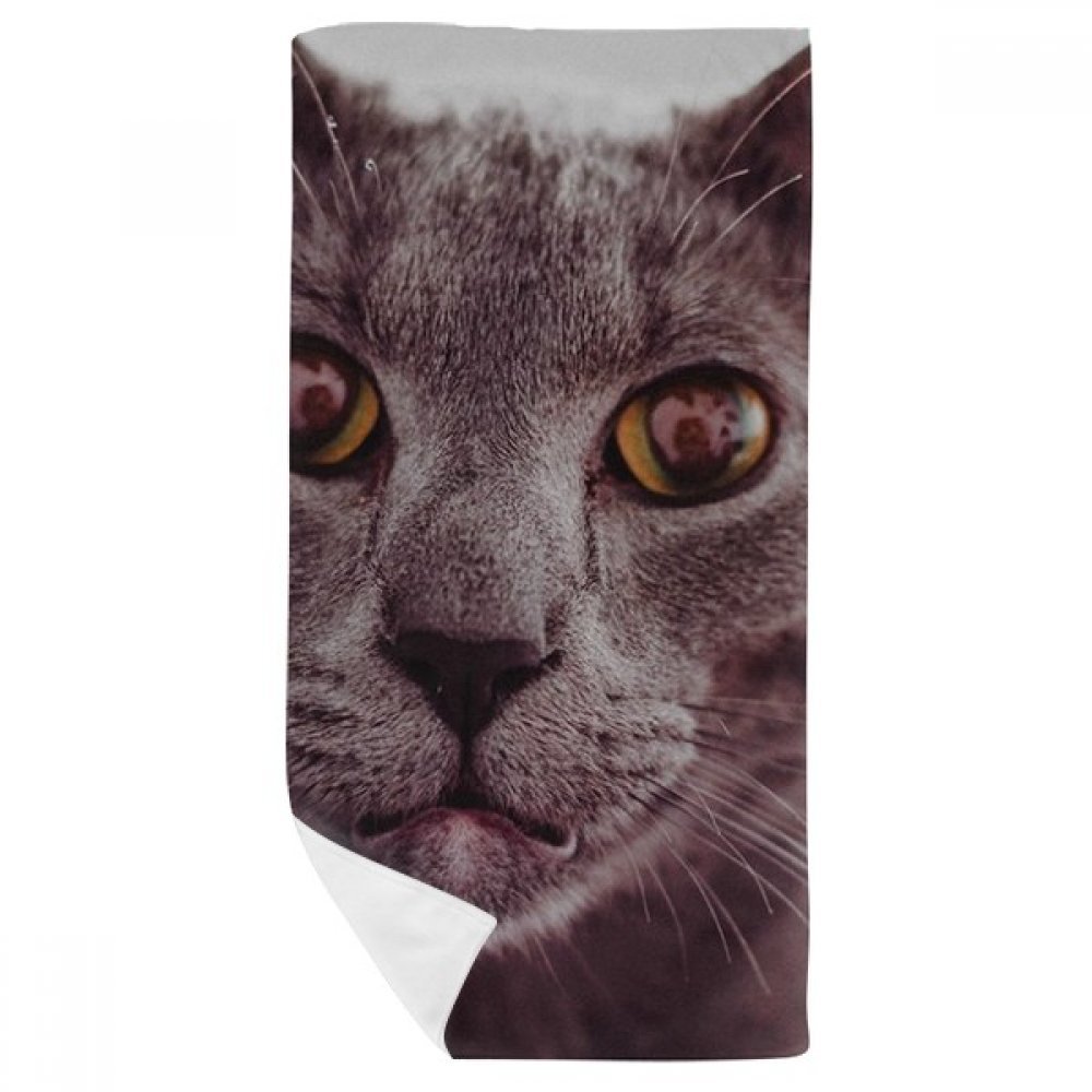 Serviette de bain animaux chat gris 35x70cm, le cadeau idéal pour les amoureux des félins