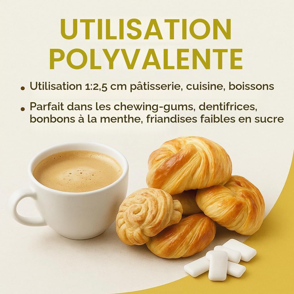 GiDeli Xylitol 5 kg - Sucre de Bouleau - Pour Boissons et Pâtisserie