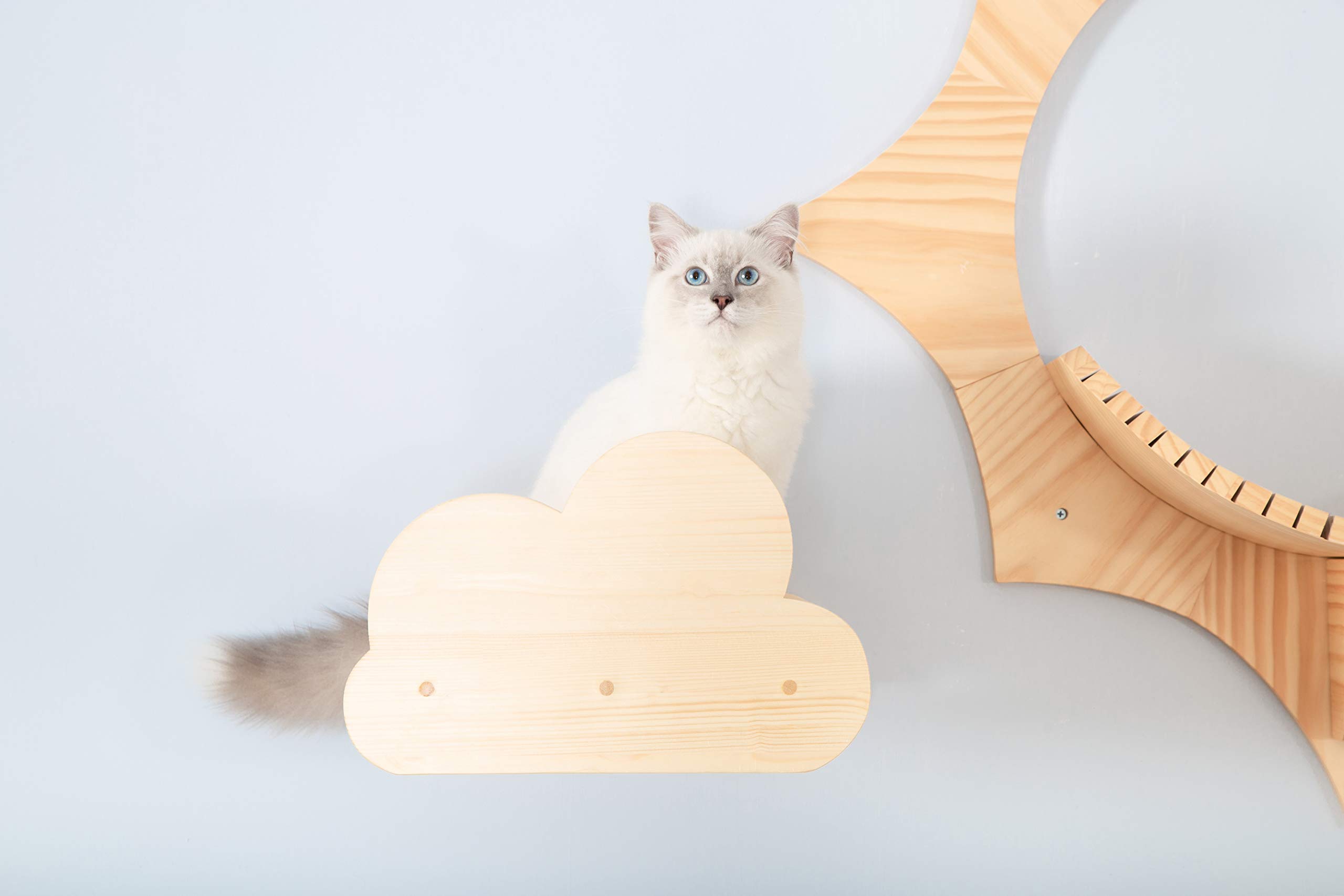MYZOO Moku,Cloud Shape, Wall Mounted Cat Shelves, Floating Perch, Cat Tree,Solid Wood with Transparent Board