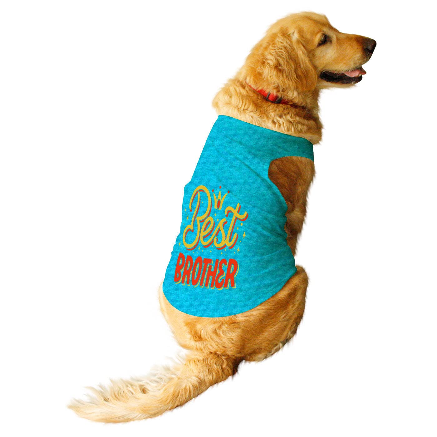 Ruse Pet Best Brother Printed Dog Round Neck Sleeveless Vest Tank T-Shirt/Tees Apparel/Clothes/Tees Gift for Dogs(Steel Blue/XXL) (B0B852L7C3) Amazon Price History, Amazon Price Tracker