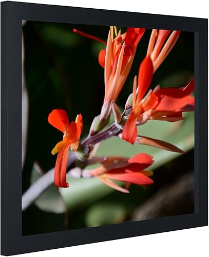 Miniatura 5 de marco de fotos de 10x12 pulgadas, exhibe fotos de 10 x 12 sin paspartú, marco de madera para pared, montaje en pared, negro