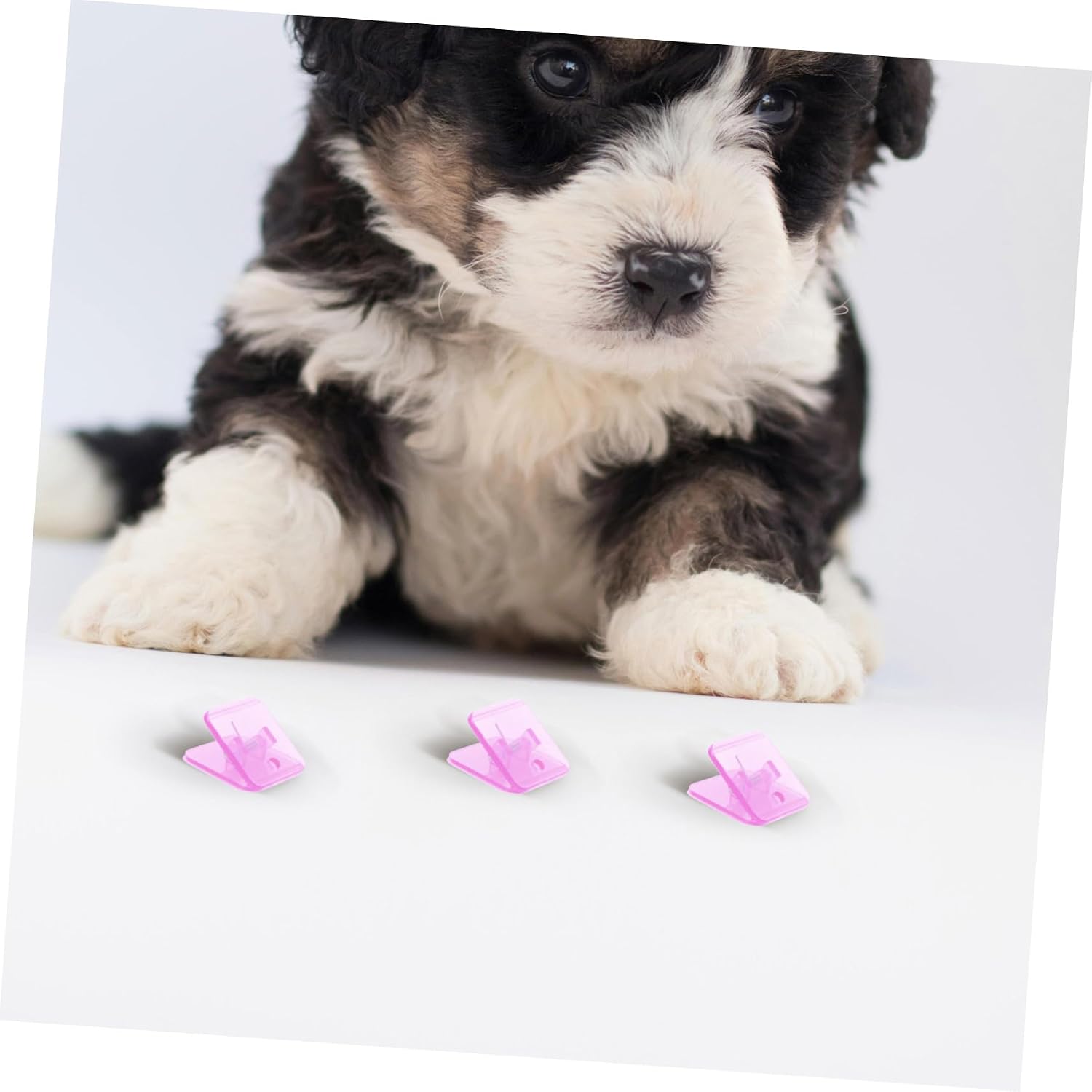 Dog Training Pad Holder Wall Clips, 6 Piece ABS Bracket Set image 5